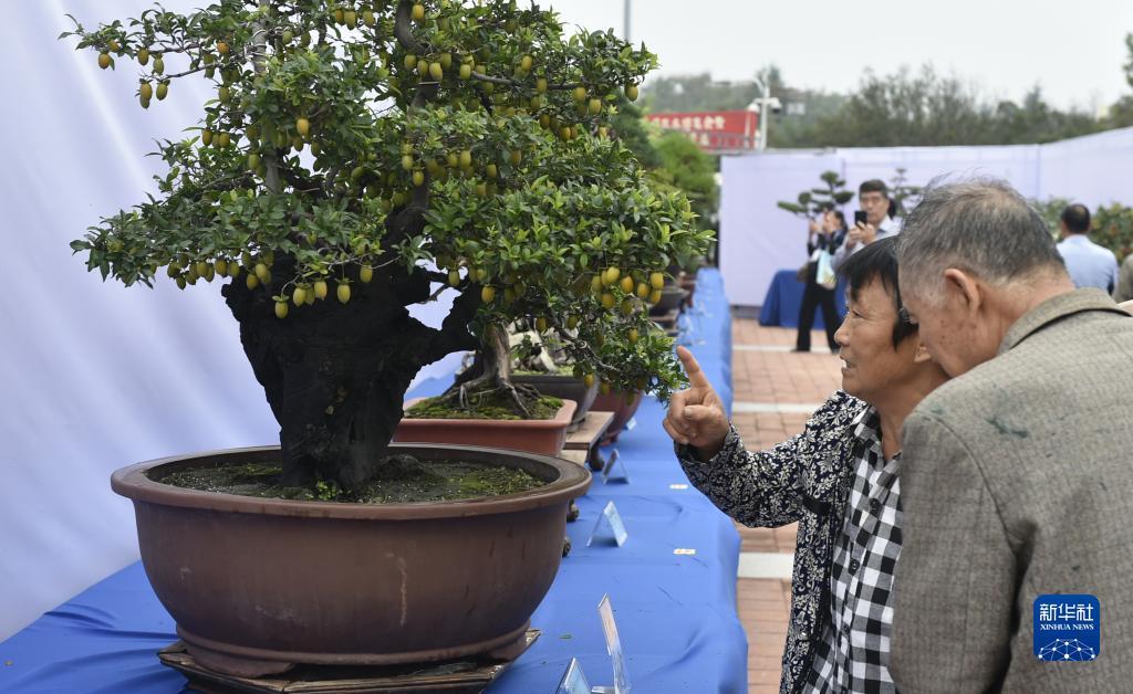 gpk捕鱼